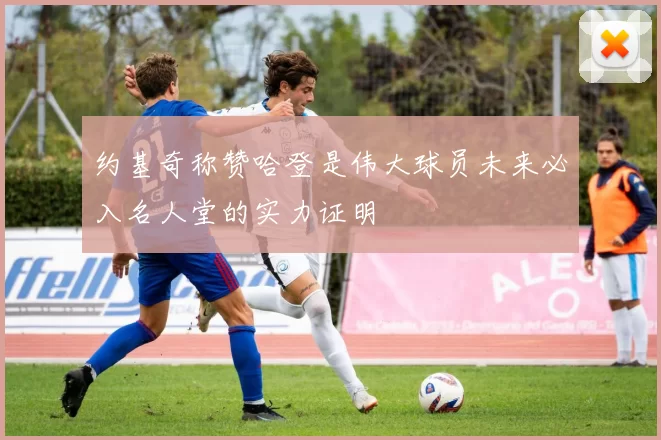 约基奇称赞哈登是伟大球员未来必入名人堂的实力证明