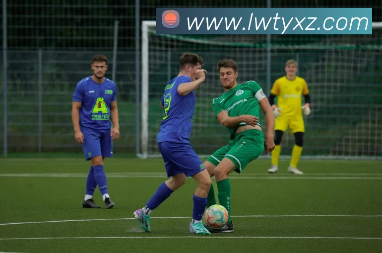 乐玩体育app平台生态图